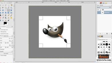 يتم فتح الصورة في برنامج gimp في: